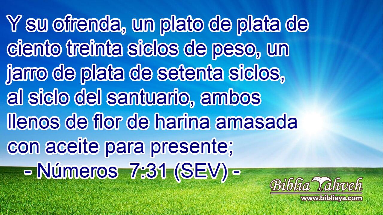 Y su ofrenda, un plato de plata de ciento treinta siclos de peso, un jarro de plata de setenta siclos, al siclo del santuario, ambos llenos de flor de harina amasada con aceite para presente;