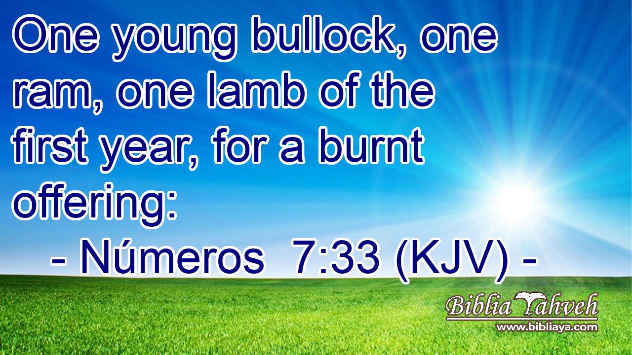 One young bullock, one ram, one lamb of the first year, for a burnt offering: