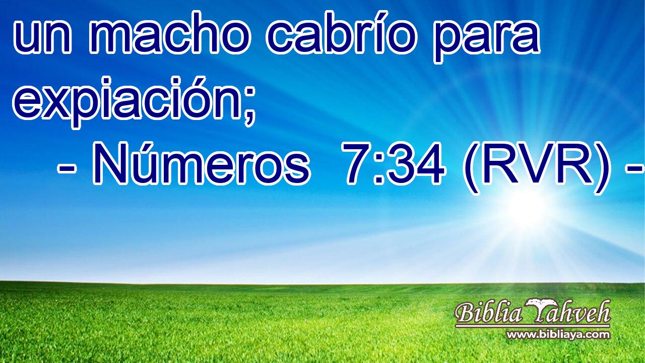 un macho cabrío para expiación;