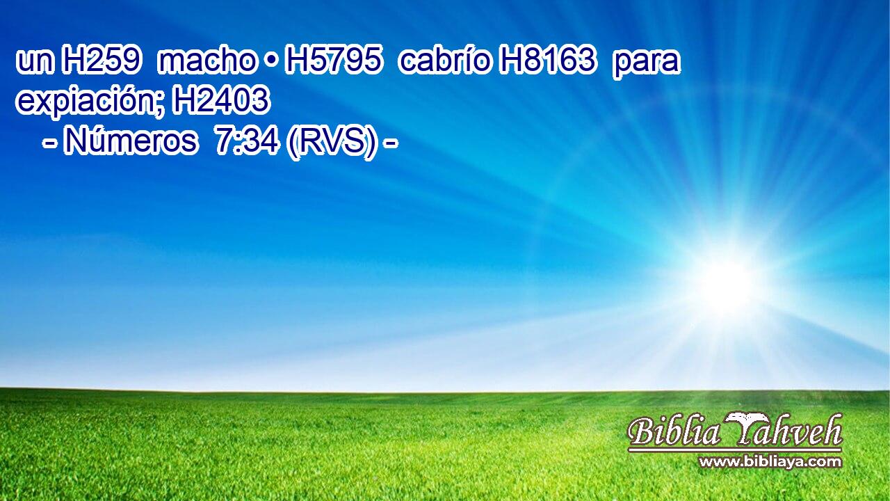 un H259  macho • H5795  cabrío H8163  para expiación; H2403  