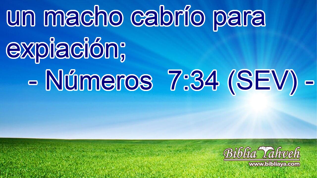 un macho cabrío para expiación;