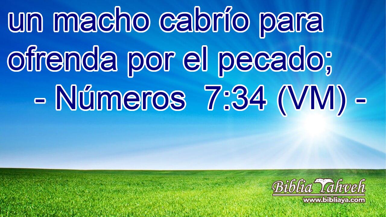  un macho cabrío para ofrenda por el pecado; 