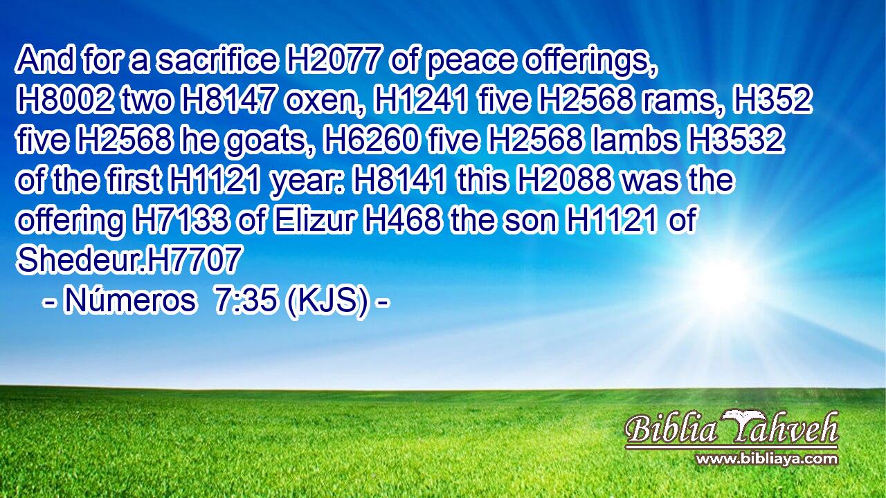 And for a sacrifice H2077 of peace offerings, H8002 two H8147 oxen, H1241 five H2568 rams, H352 five H2568 he goats, H6260 five H2568 lambs H3532 of the first H1121 year: H8141 this H2088 was the offering H7133 of Elizur H468 the son H1121 of Shedeur.H7707