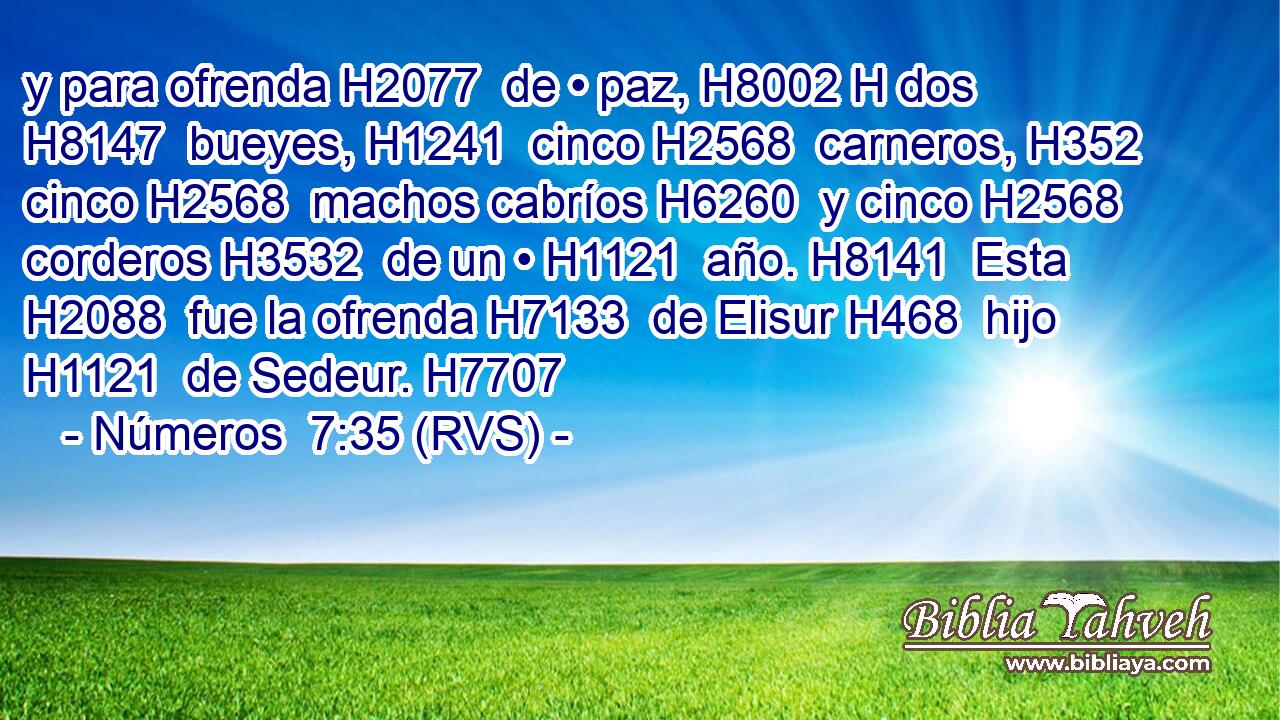 y para ofrenda H2077  de • paz, H8002 H dos H8147  bueyes, H1241  cinco H2568  carneros, H352  cinco H2568  machos cabríos H6260  y cinco H2568  corderos H3532  de un • H1121  año. H8141  Esta H2088  fue la ofrenda H7133  de Elisur H468  hijo H1121  de Sedeur. H7707  