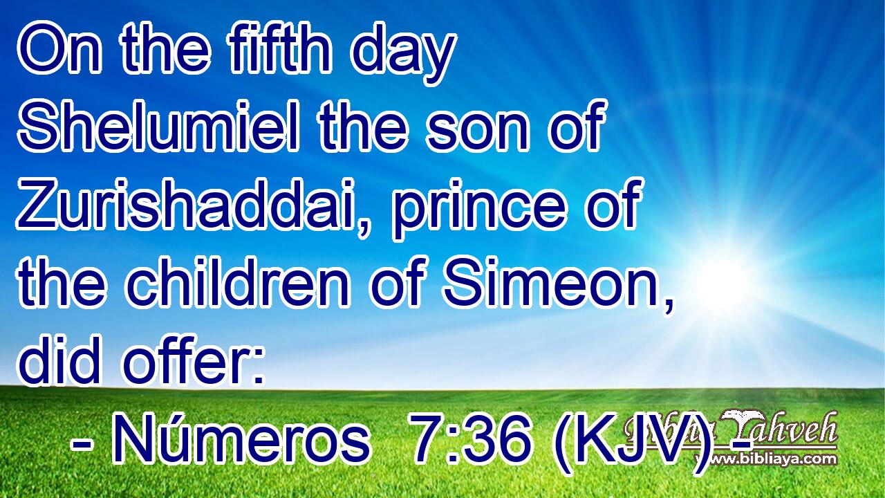 On the fifth day Shelumiel the son of Zurishaddai, prince of the children of Simeon, did offer: