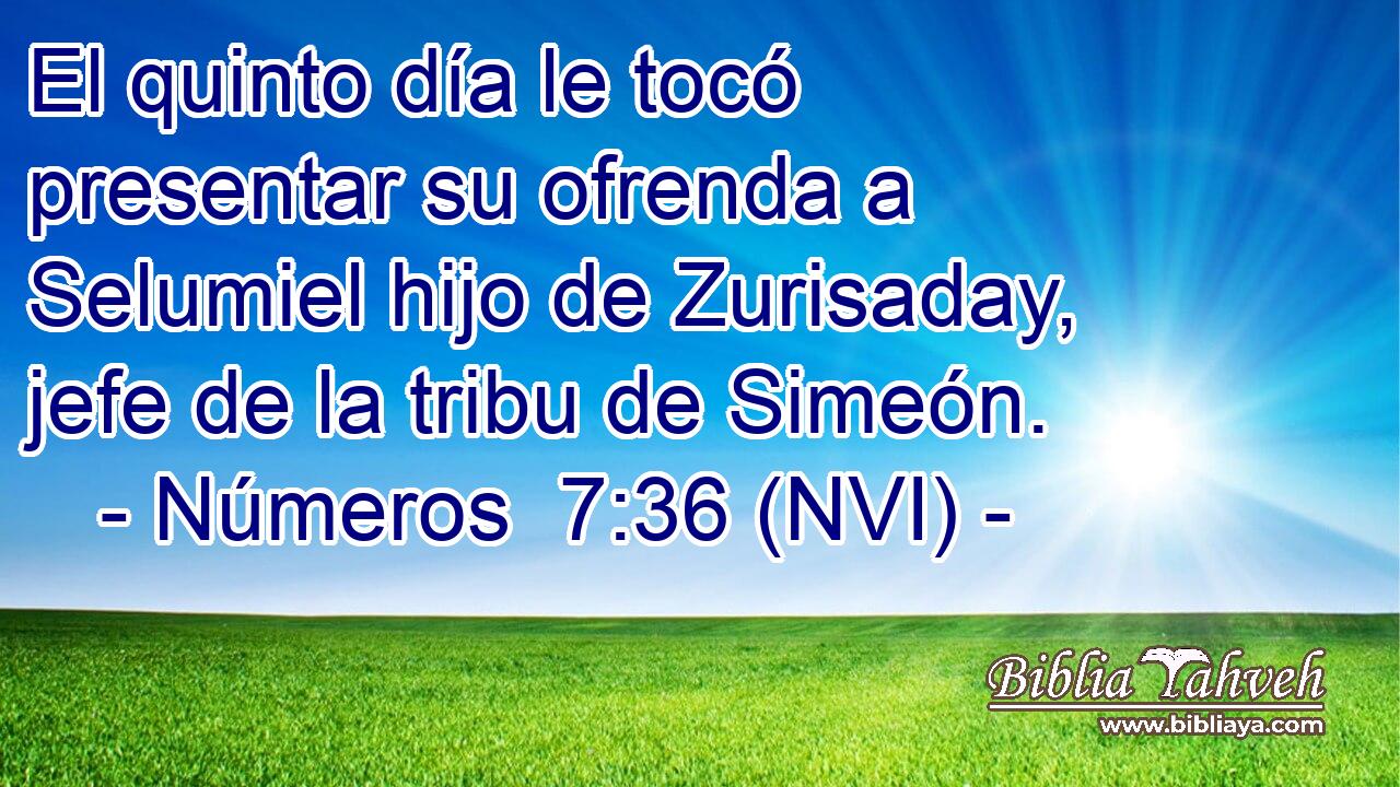  El quinto día le tocó presentar su ofrenda a Selumiel hijo de Zurisaday, jefe de la tribu de Simeón. 