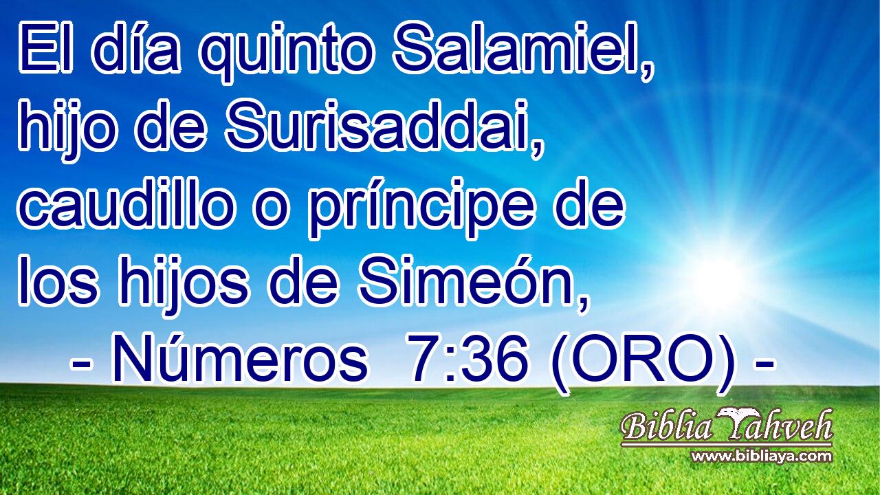  El día quinto Salamiel, hijo de Surisaddai, caudillo o príncipe de los hijos de Simeón, 
