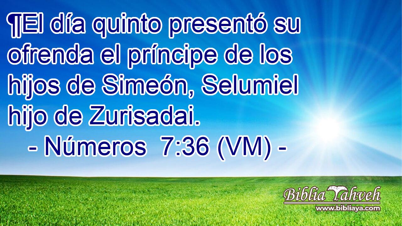  ¶El día quinto presentó su ofrenda el príncipe de los hijos de Simeón, Selumiel hijo de Zurisadai. 