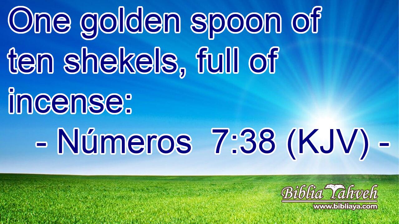 One golden spoon of ten shekels, full of incense: