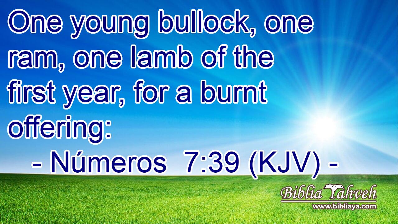 One young bullock, one ram, one lamb of the first year, for a burnt offering: