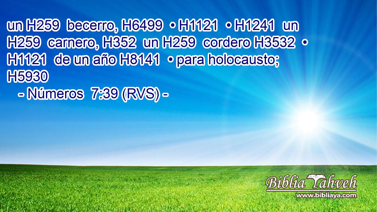 un H259  becerro, H6499  • H1121  • H1241  un H259  carnero, H352  un H259  cordero H3532  • H1121  de un año H8141  • para holocausto; H5930  