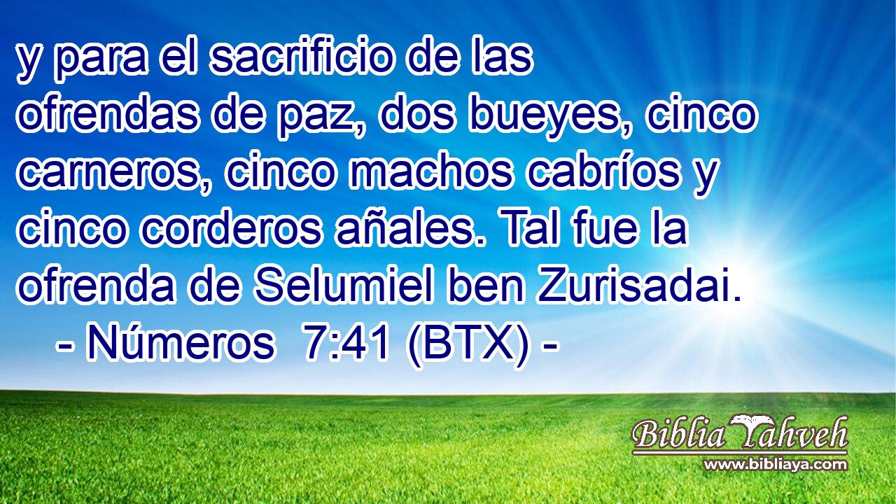 y para el sacrificio de las ofrendas de paz, dos bueyes, cinco carneros, cinco machos cabríos y cinco corderos añales. Tal fue la ofrenda de Selumiel ben Zurisadai.