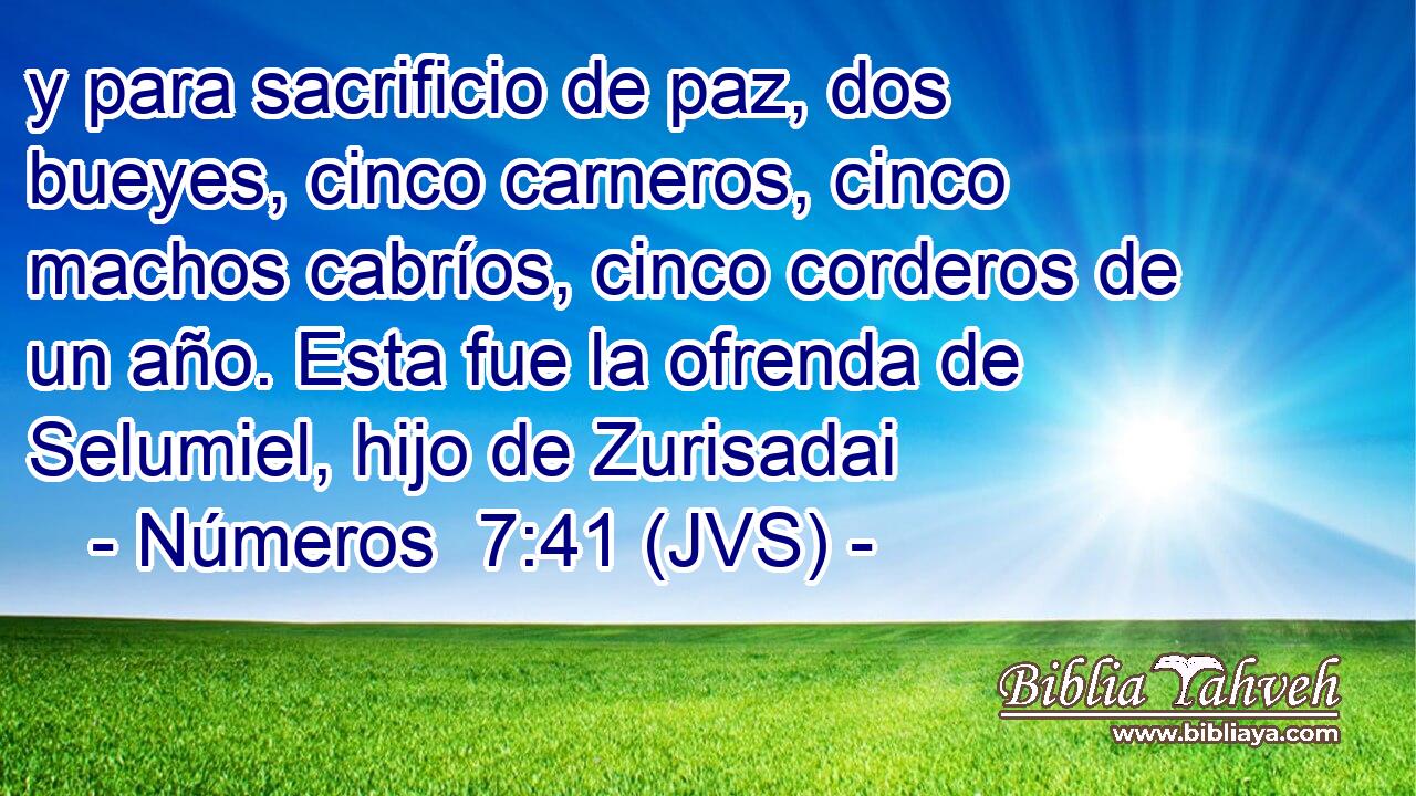 y para sacrificio de paz, dos bueyes, cinco carneros, cinco machos cabríos, cinco corderos de un año. Esta fue la ofrenda de Selumiel, hijo de Zurisadai