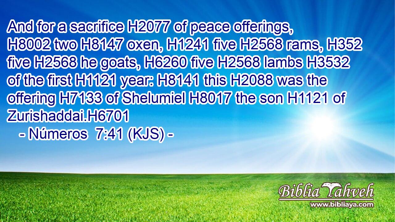 And for a sacrifice H2077 of peace offerings, H8002 two H8147 oxen, H1241 five H2568 rams, H352 five H2568 he goats, H6260 five H2568 lambs H3532 of the first H1121 year: H8141 this H2088 was the offering H7133 of Shelumiel H8017 the son H1121 of Zurishaddai.H6701