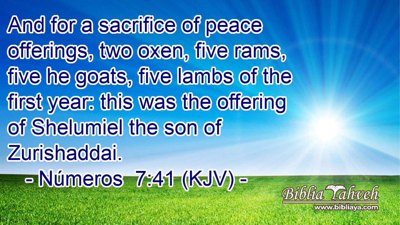 And for a sacrifice of peace offerings, two oxen, five rams, five he goats, five lambs of the first year: this was the offering of Shelumiel the son of Zurishaddai.