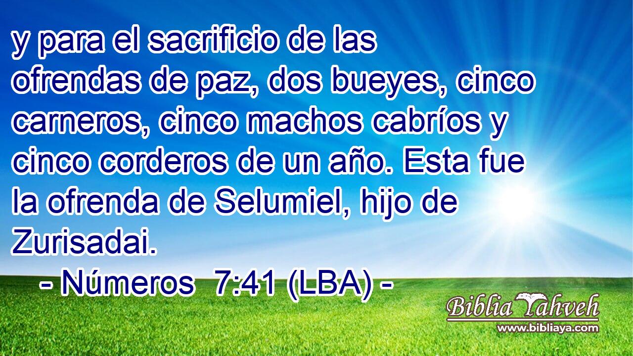 y para el sacrificio de las ofrendas de paz, dos bueyes, cinco carneros, cinco machos cabríos y cinco corderos de un año. Esta fue la ofrenda de Selumiel, hijo de Zurisadai.