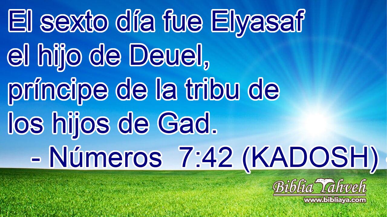  El sexto día fue Elyasaf el hijo de Deuel, príncipe de la tribu de los hijos de Gad. 