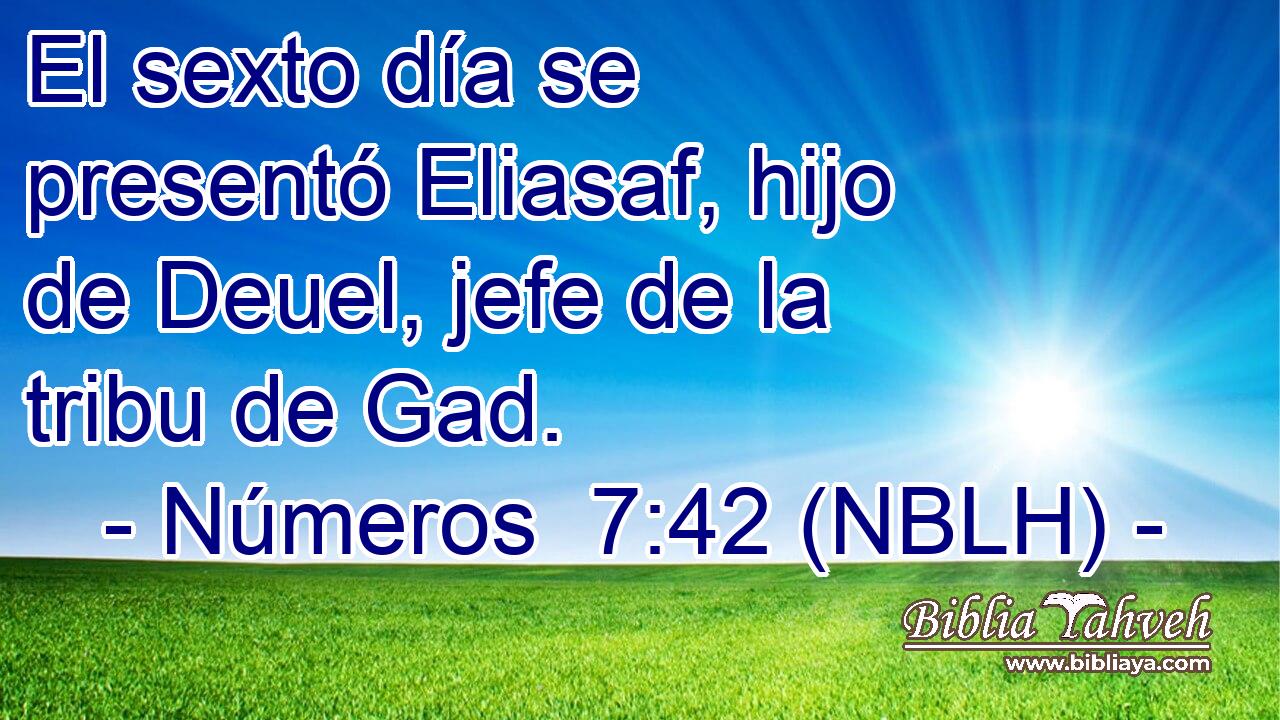  El sexto día se presentó Eliasaf, hijo de Deuel, jefe de la tribu de Gad. 