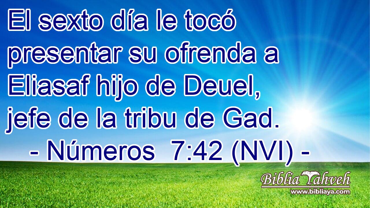  El sexto día le tocó presentar su ofrenda a Eliasaf hijo de Deuel, jefe de la tribu de Gad. 