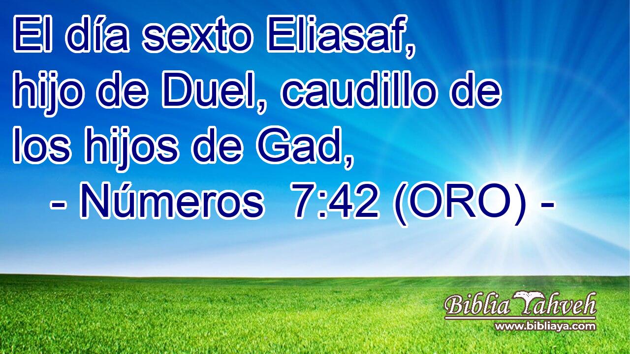  El día sexto Eliasaf, hijo de Duel, caudillo de los hijos de Gad, 