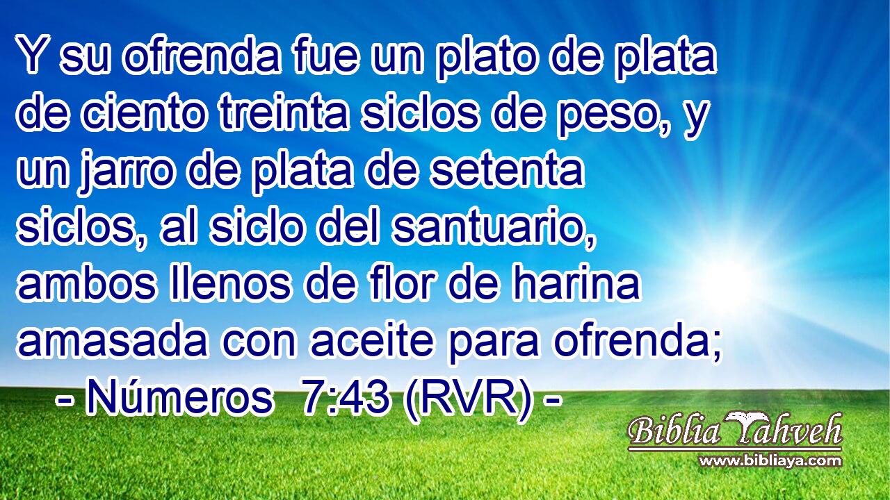 Y su ofrenda fue un plato de plata de ciento treinta siclos de peso, y un jarro de plata de setenta siclos, al siclo del santuario, ambos llenos de flor de harina amasada con aceite para ofrenda;