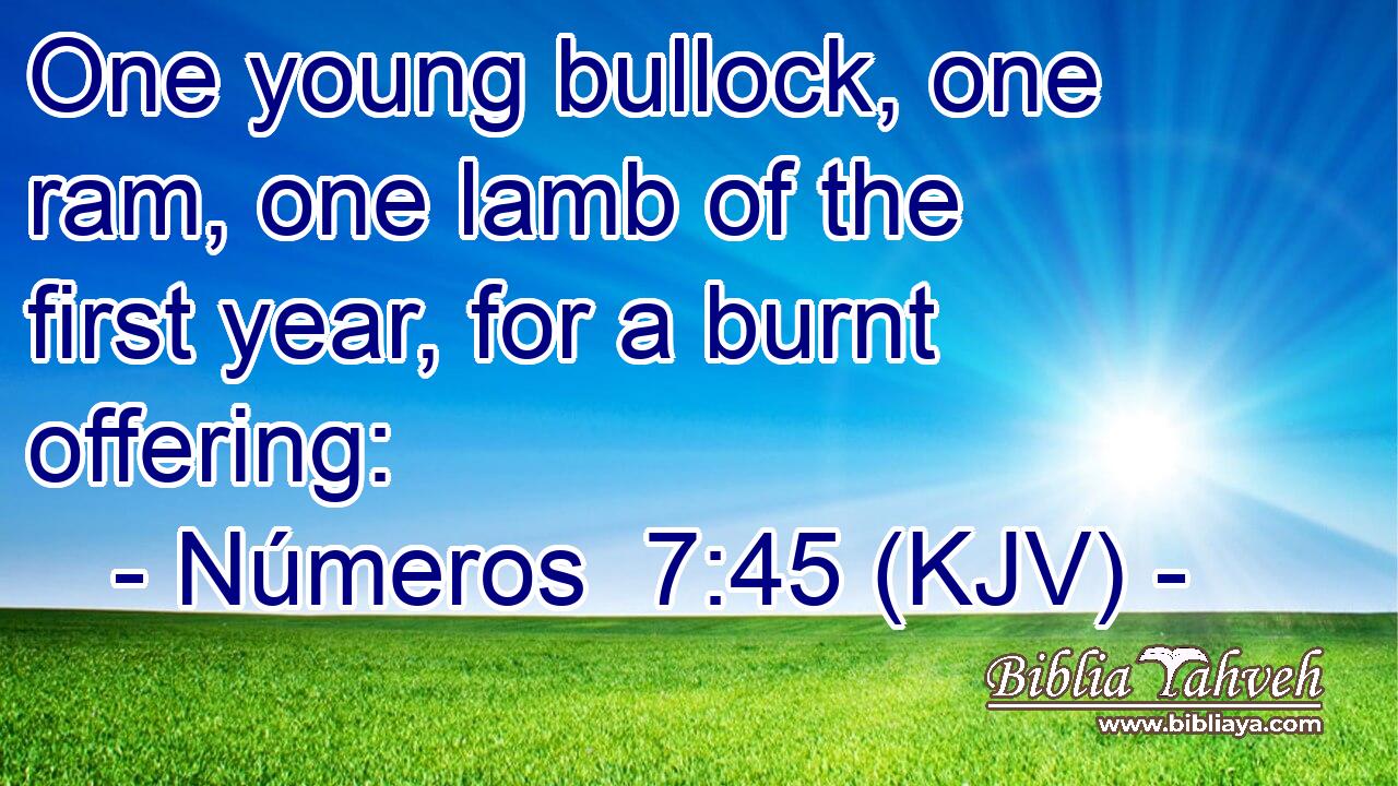 One young bullock, one ram, one lamb of the first year, for a burnt offering: