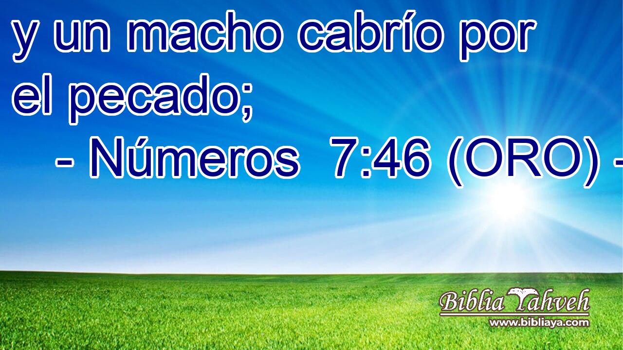  y un macho cabrío por el pecado; 