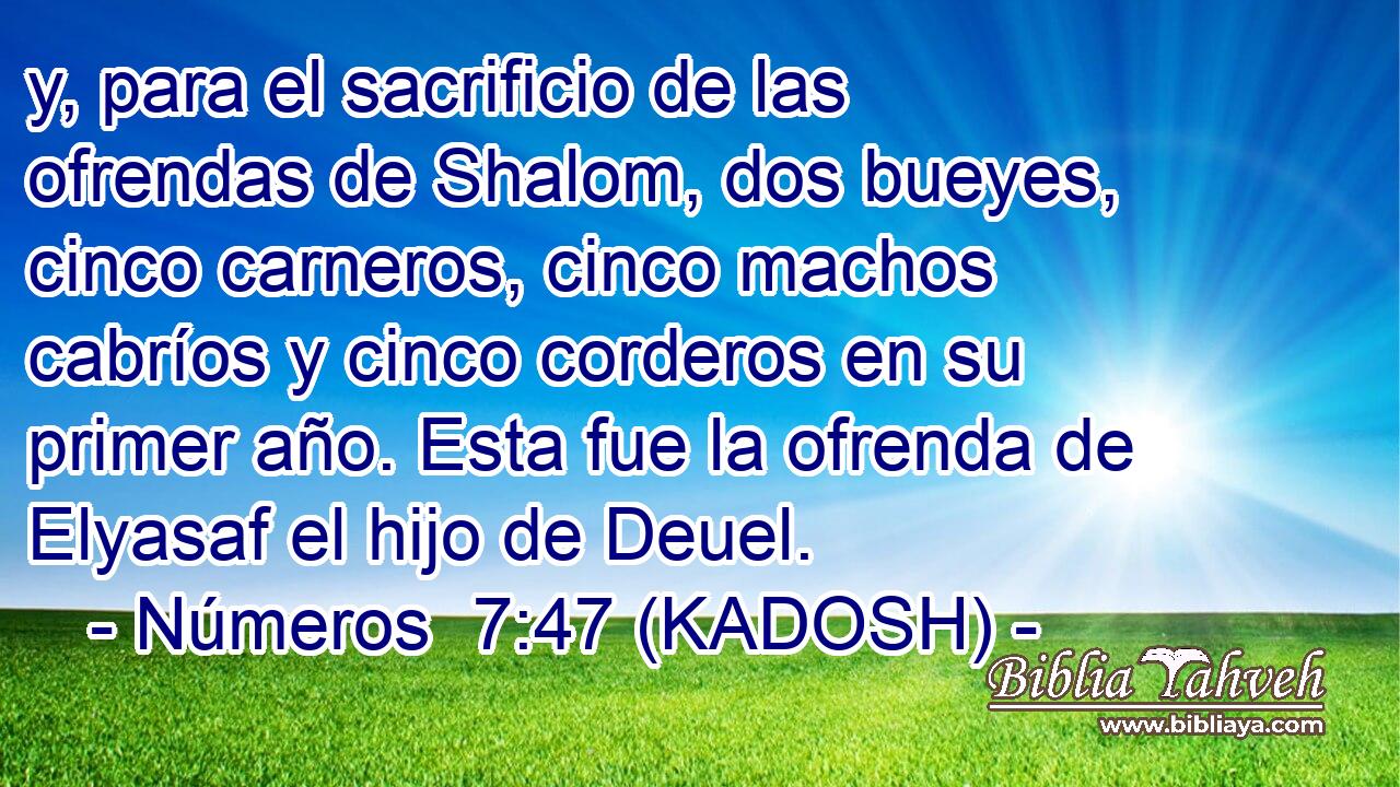  y, para el sacrificio de las ofrendas de Shalom, dos bueyes, cinco carneros, cinco machos cabríos y cinco corderos en su primer año. Esta fue la ofrenda de Elyasaf el hijo de Deuel. 