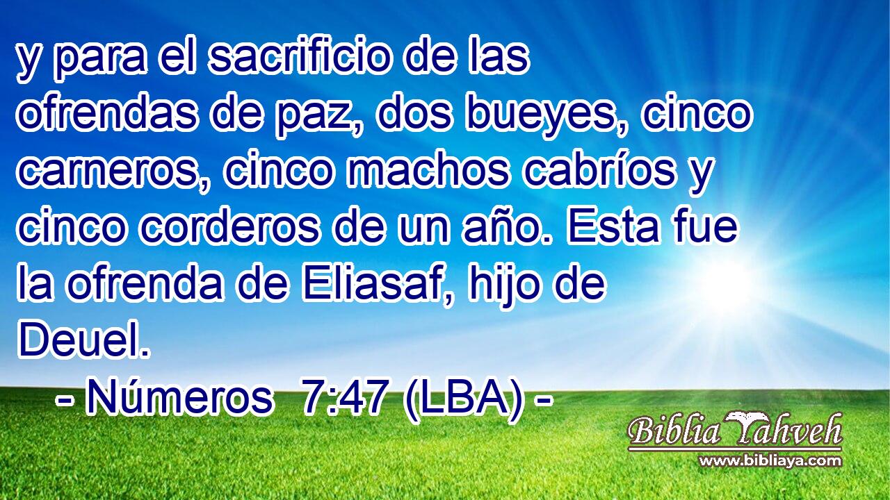 y para el sacrificio de las ofrendas de paz, dos bueyes, cinco carneros, cinco machos cabríos y cinco corderos de un año. Esta fue la ofrenda de Eliasaf, hijo de Deuel.