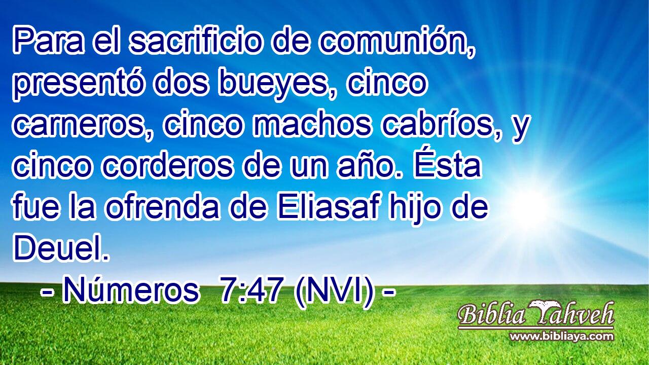  Para el sacrificio de comunión, presentó dos bueyes, cinco carneros, cinco machos cabríos, y cinco corderos de un año. Ésta fue la ofrenda de Eliasaf hijo de Deuel. 