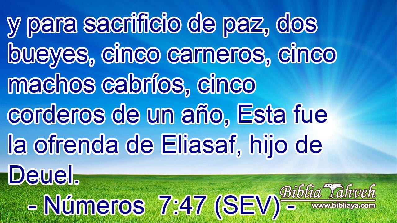 y para sacrificio de paz, dos bueyes, cinco carneros, cinco machos cabríos, cinco corderos de un año, Esta fue la ofrenda de Eliasaf, hijo de Deuel.