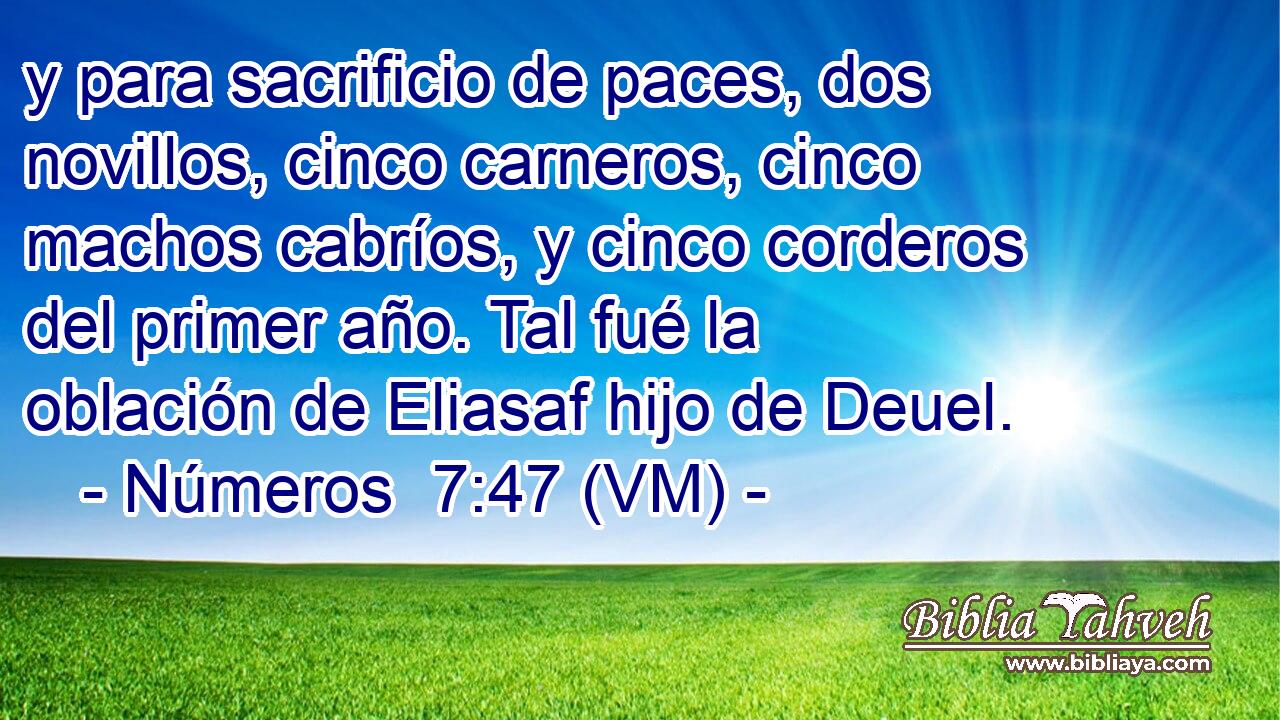  y para sacrificio de paces, dos novillos, cinco carneros, cinco machos cabríos, y cinco corderos del primer año. Tal fué la oblación de Eliasaf hijo de Deuel. 