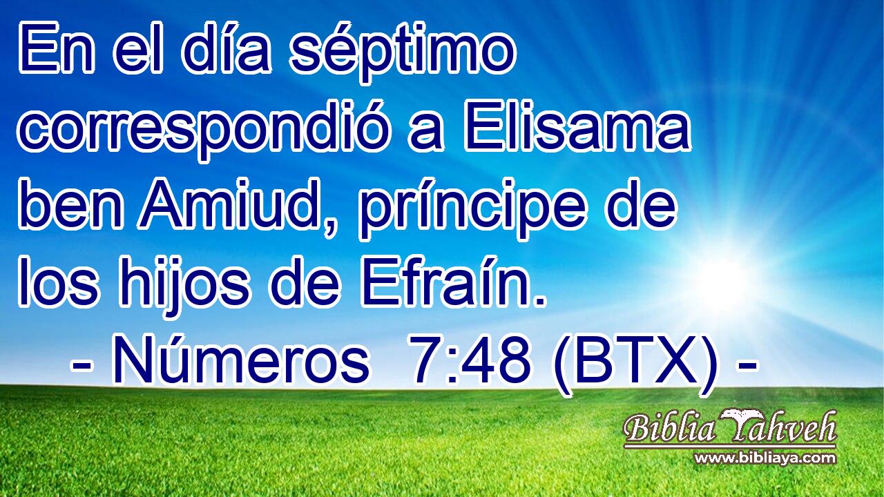 En el día séptimo correspondió a Elisama ben Amiud, príncipe de los hijos de Efraín.