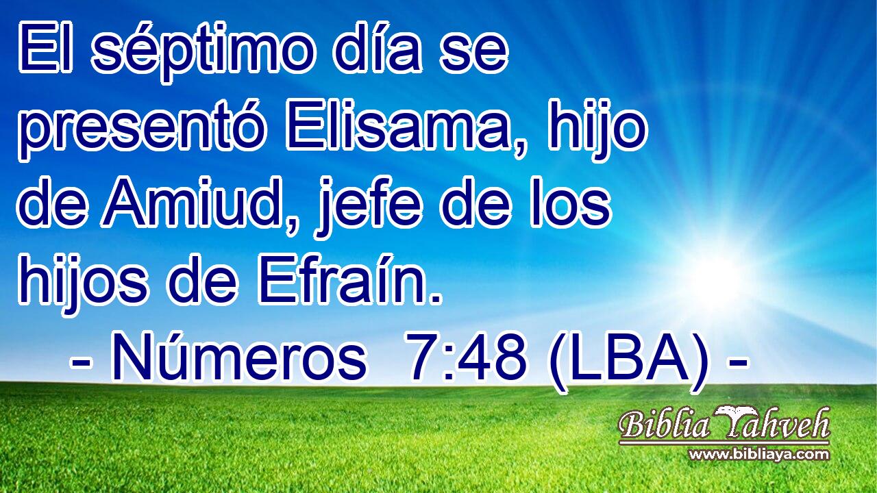 El séptimo día se presentó Elisama, hijo de Amiud, jefe de los hijos de Efraín.