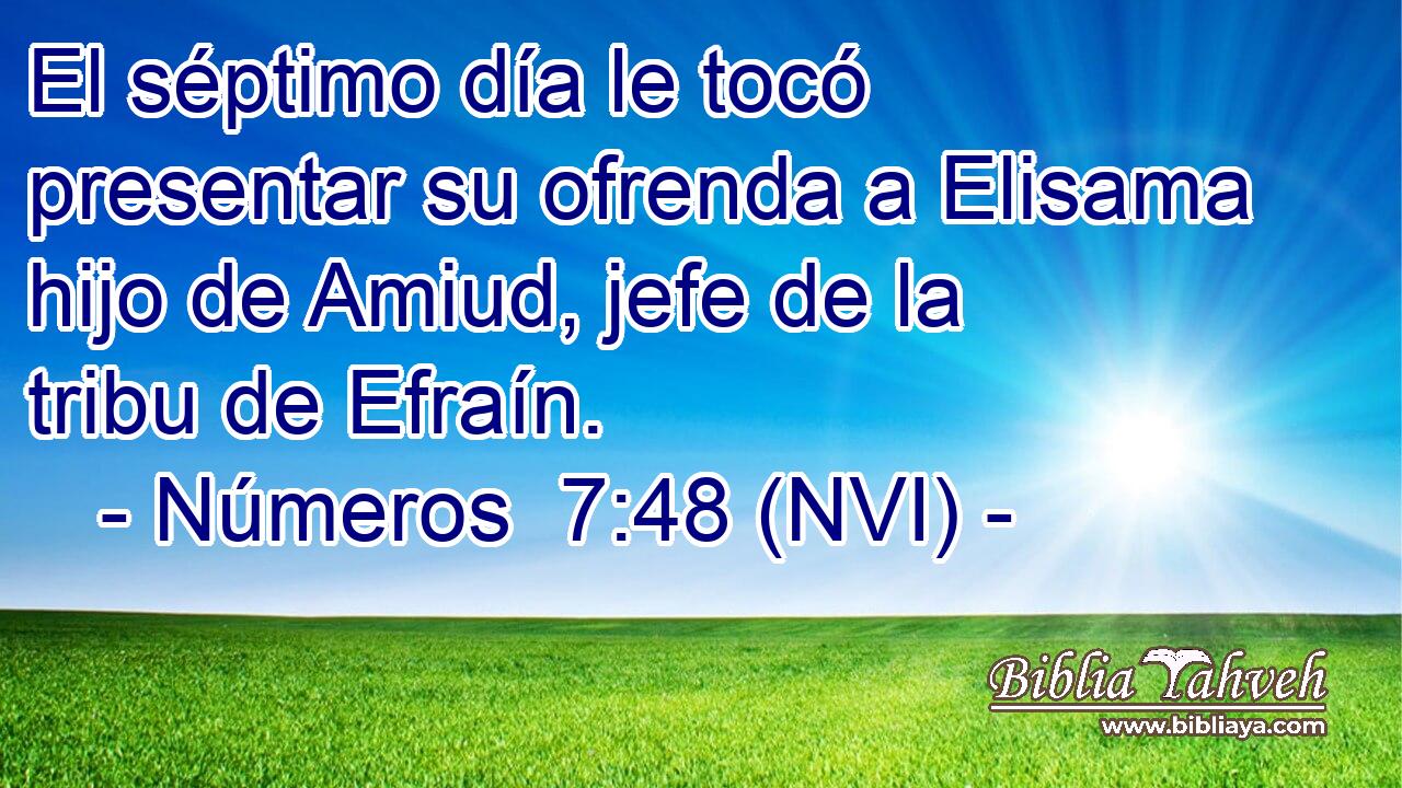  El séptimo día le tocó presentar su ofrenda a Elisama hijo de Amiud, jefe de la tribu de Efraín. 