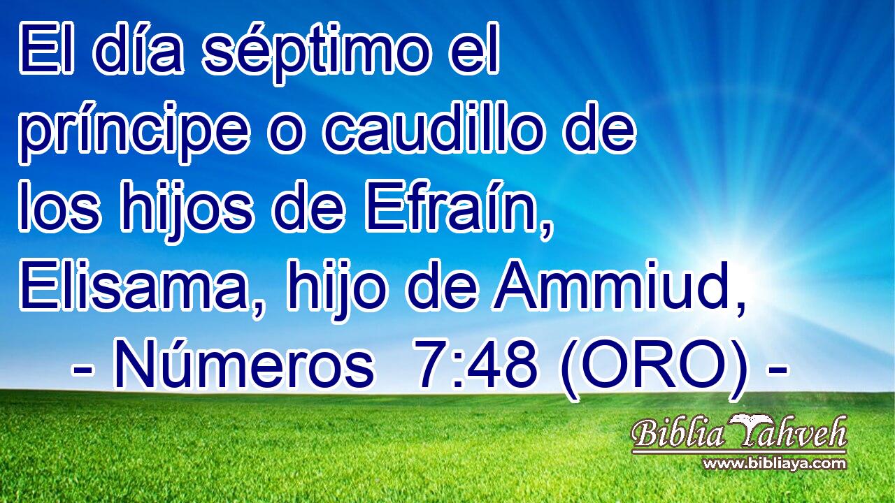  El día séptimo el príncipe o caudillo de los hijos de Efraín, Elisama, hijo de Ammiud, 