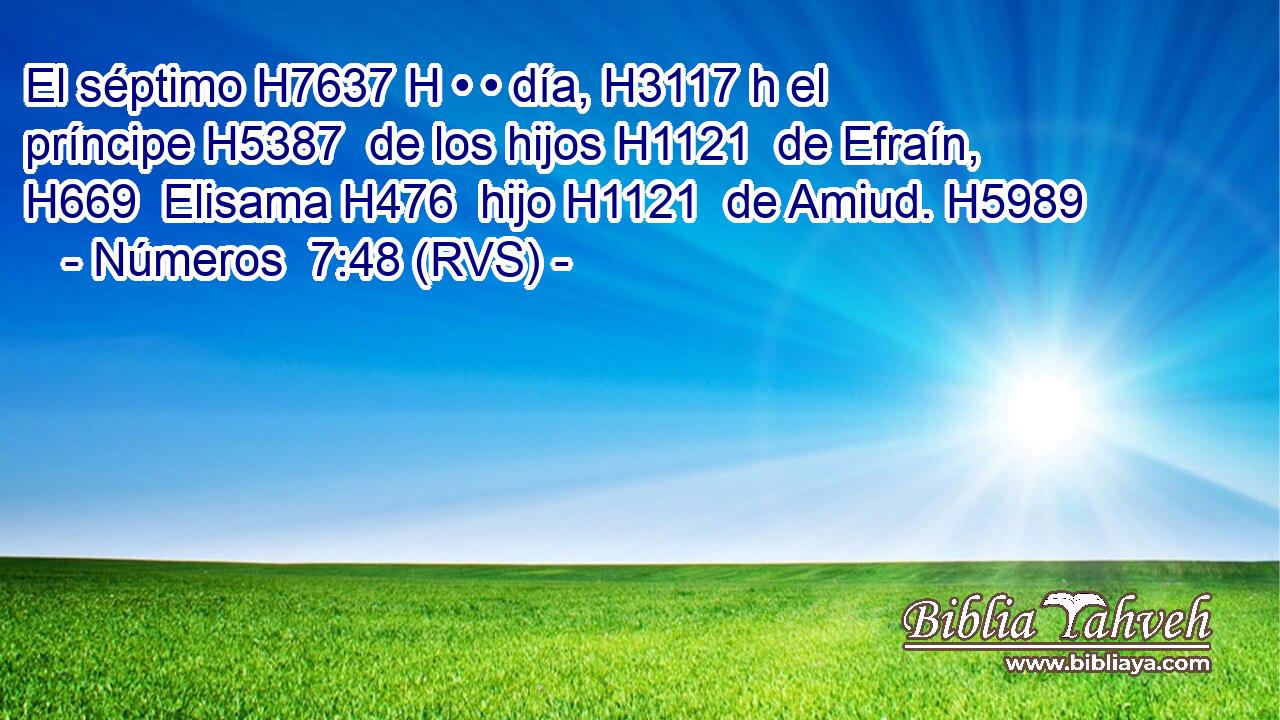 El séptimo H7637 H • • día, H3117 h el príncipe H5387  de los hijos H1121  de Efraín, H669  Elisama H476  hijo H1121  de Amiud. H5989  