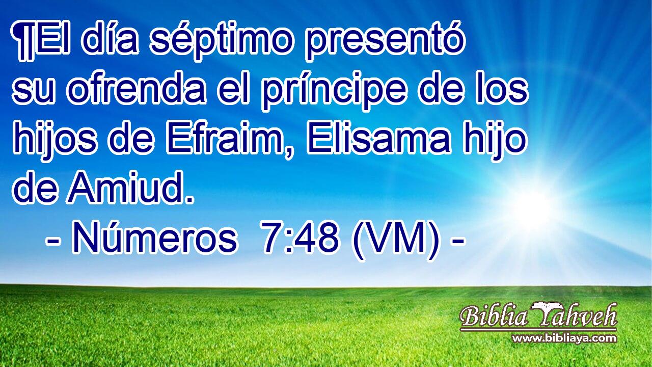 ¶El día séptimo presentó su ofrenda el príncipe de los hijos de Efraim, Elisama hijo de Amiud. 