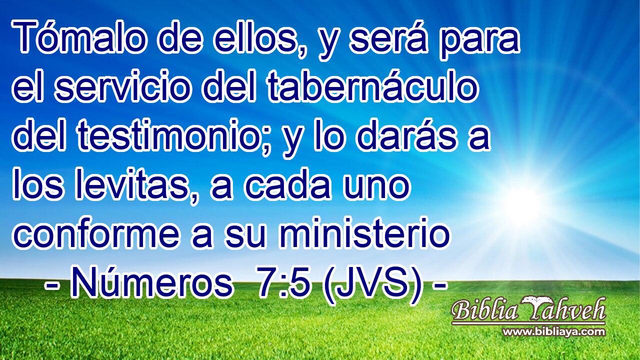 Tómalo de ellos, y será para el servicio del tabernáculo del testimonio; y lo darás a los levitas, a cada uno conforme a su ministerio