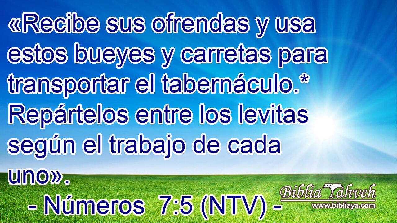 «Recibe sus ofrendas y usa estos bueyes y carretas para transportar el tabernáculo.* Repártelos entre los levitas según el trabajo de cada uno».