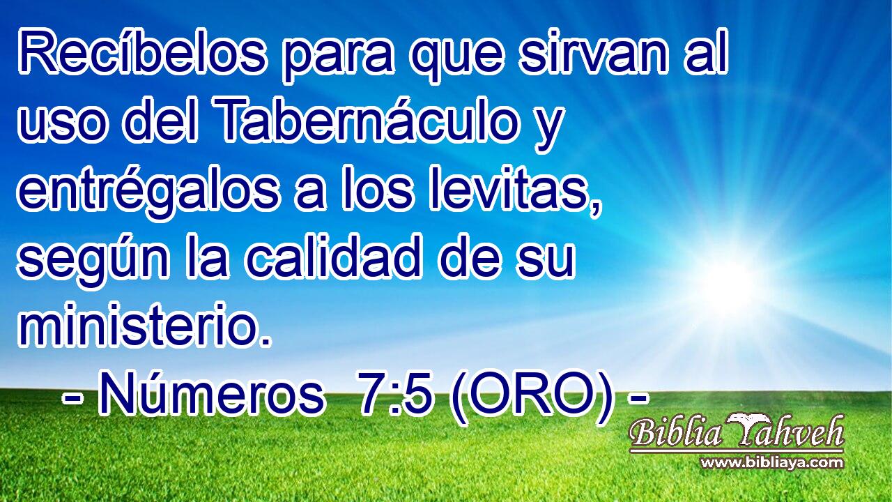  Recíbelos para que sirvan al uso del Tabernáculo y entrégalos a los levitas, según la calidad de su ministerio. 
