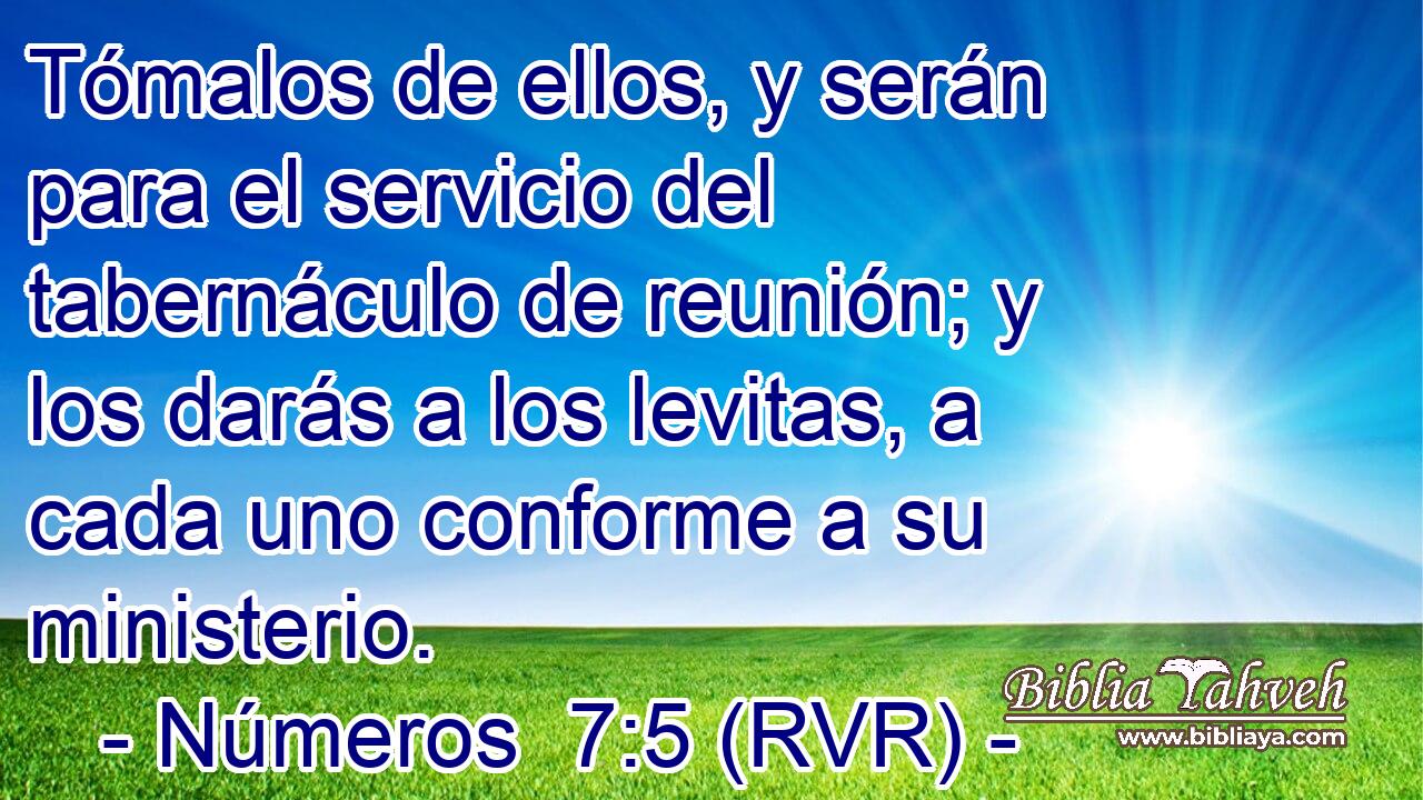Tómalos de ellos, y serán para el servicio del tabernáculo de reunión; y los darás a los levitas, a cada uno conforme a su ministerio.
