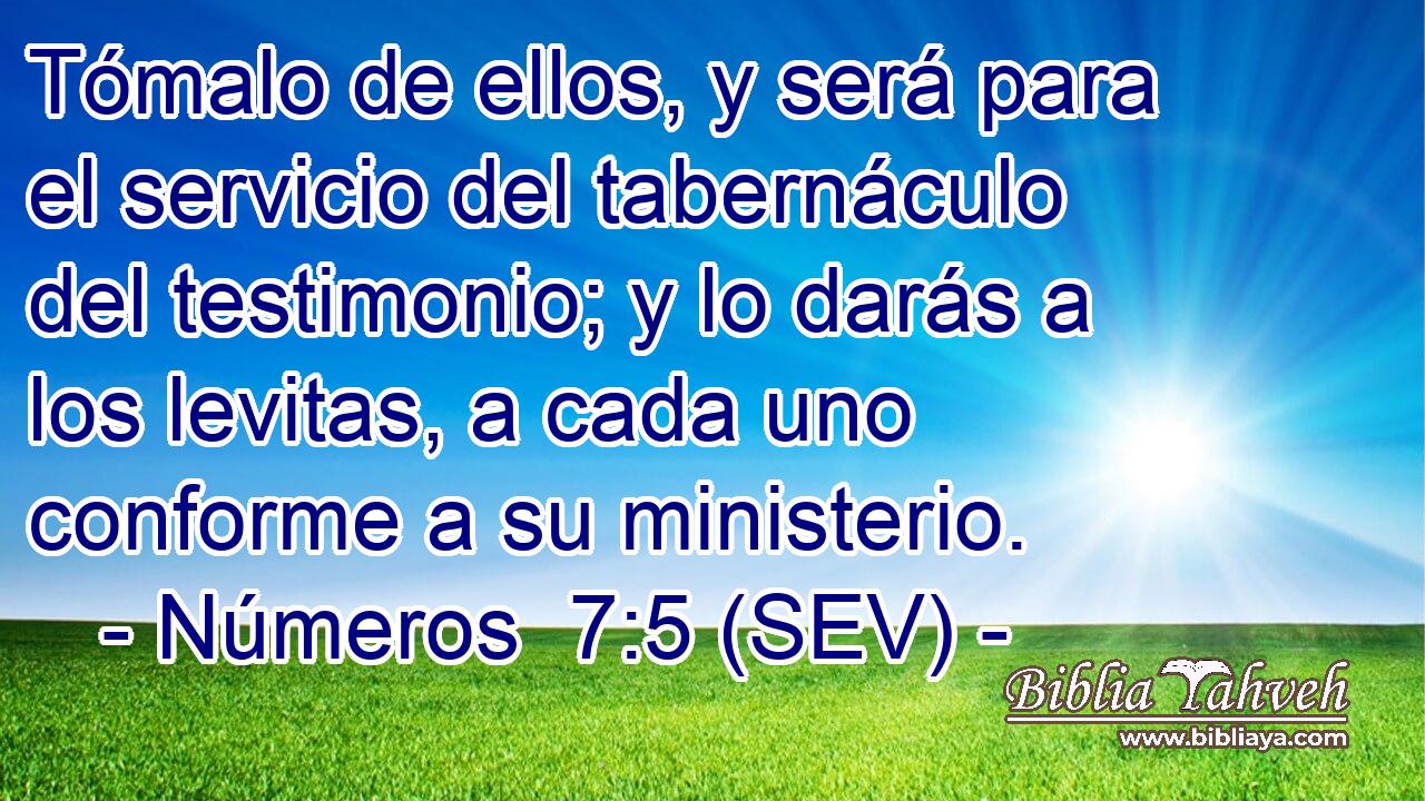 Tómalo de ellos, y será para el servicio del tabernáculo del testimonio; y lo darás a los levitas, a cada uno conforme a su ministerio.