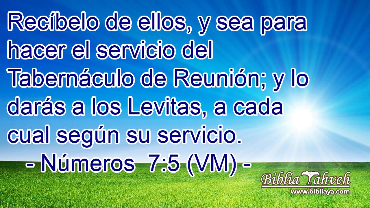  Recíbelo de ellos, y sea para hacer el servicio del Tabernáculo de Reunión; y lo darás a los Levitas, a cada cual según su servicio. 