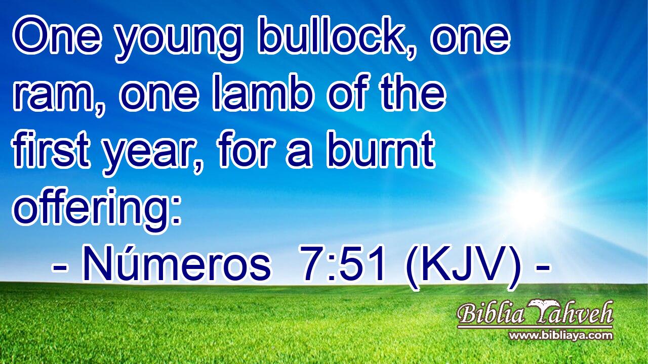 One young bullock, one ram, one lamb of the first year, for a burnt offering: