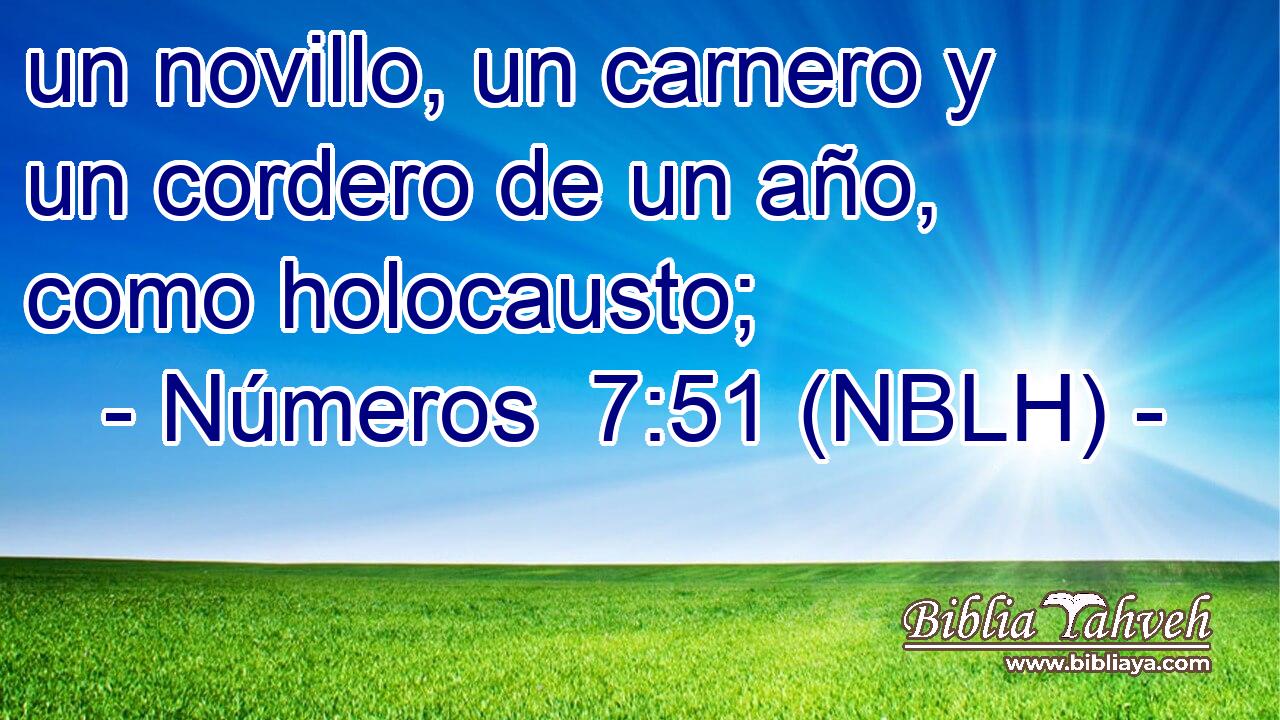  un novillo, un carnero y un cordero de un año, como holocausto; 
