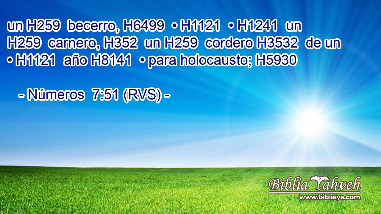 un H259  becerro, H6499  • H1121  • H1241  un H259  carnero, H352  un H259  cordero H3532  de un • H1121  año H8141  • para holocausto; H5930  