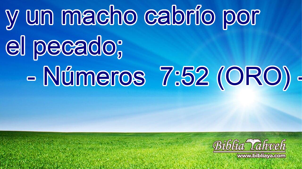  y un macho cabrío por el pecado; 