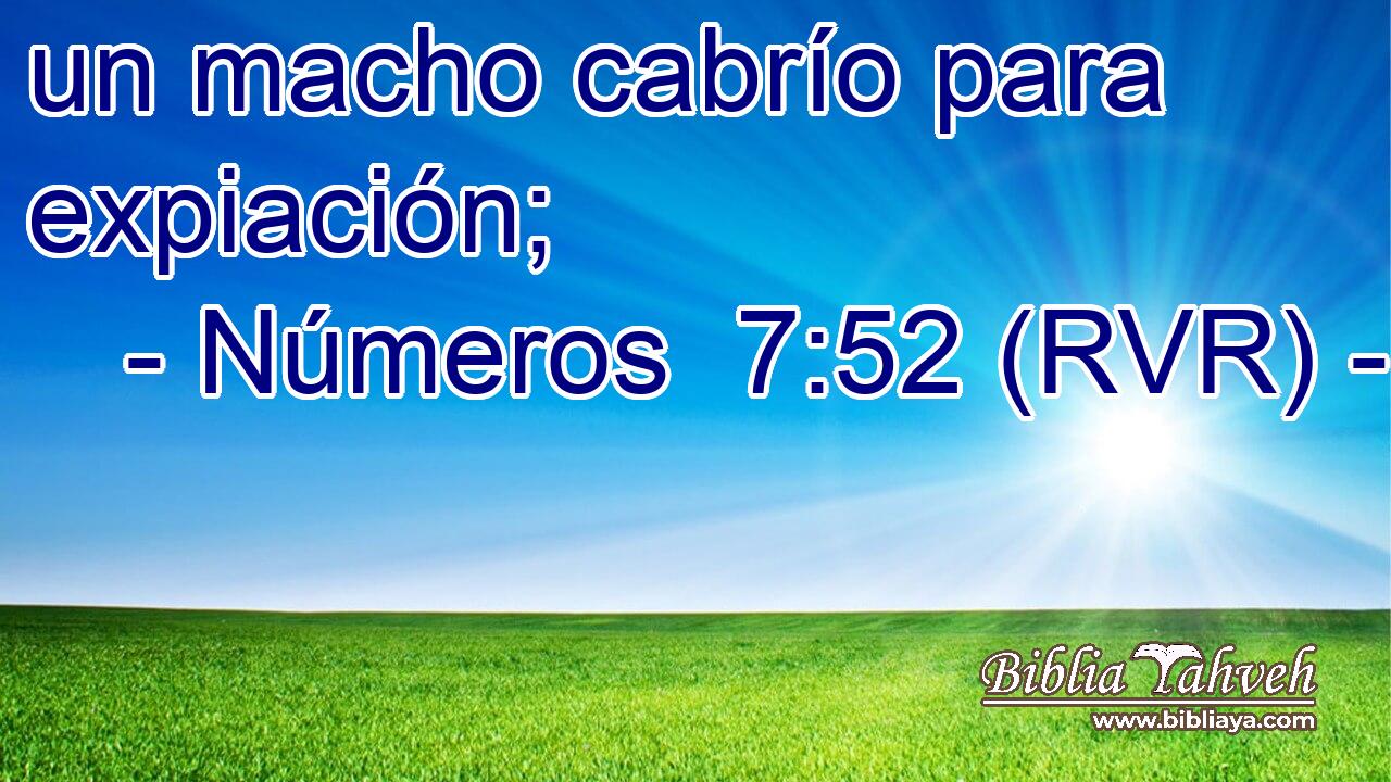 un macho cabrío para expiación;