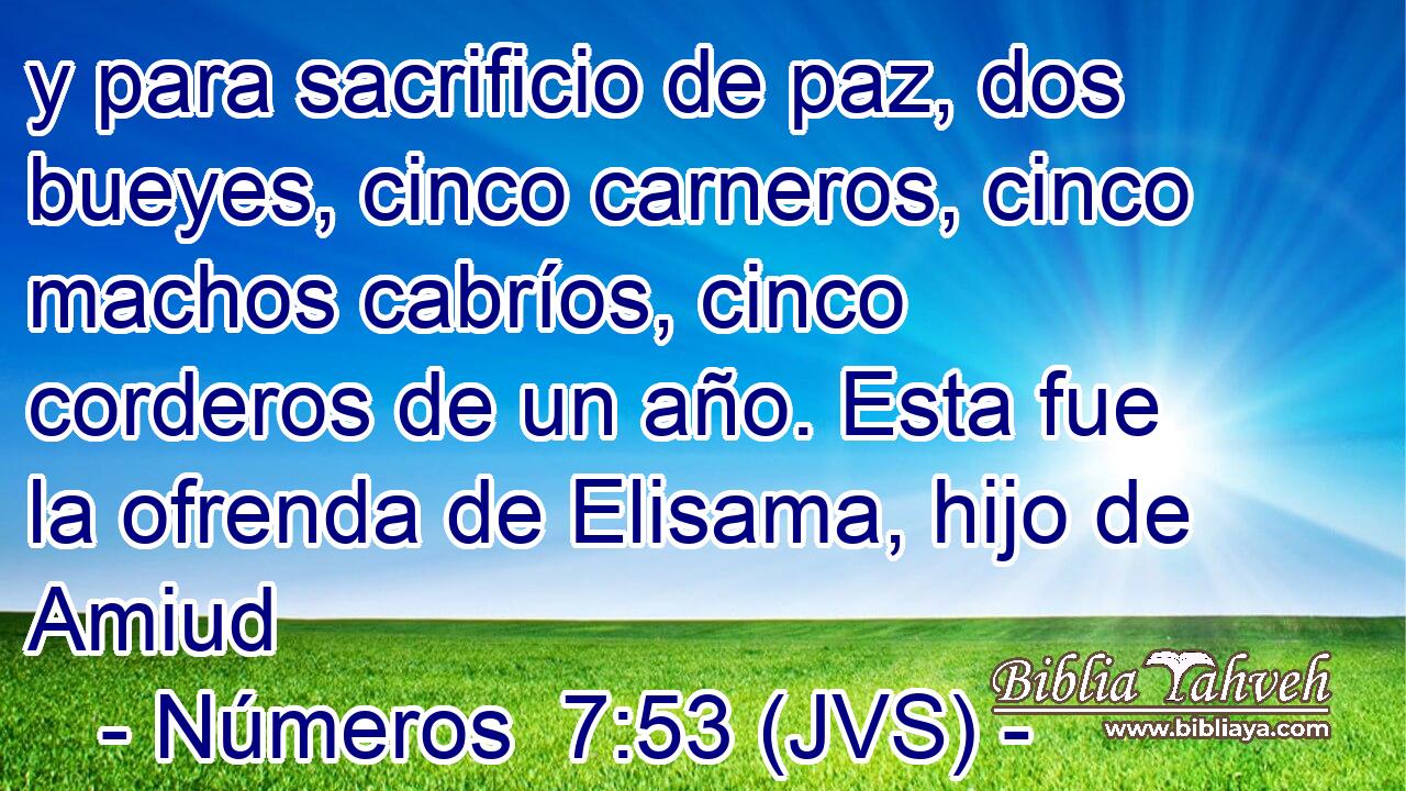 y para sacrificio de paz, dos bueyes, cinco carneros, cinco machos cabríos, cinco corderos de un año. Esta fue la ofrenda de Elisama, hijo de Amiud